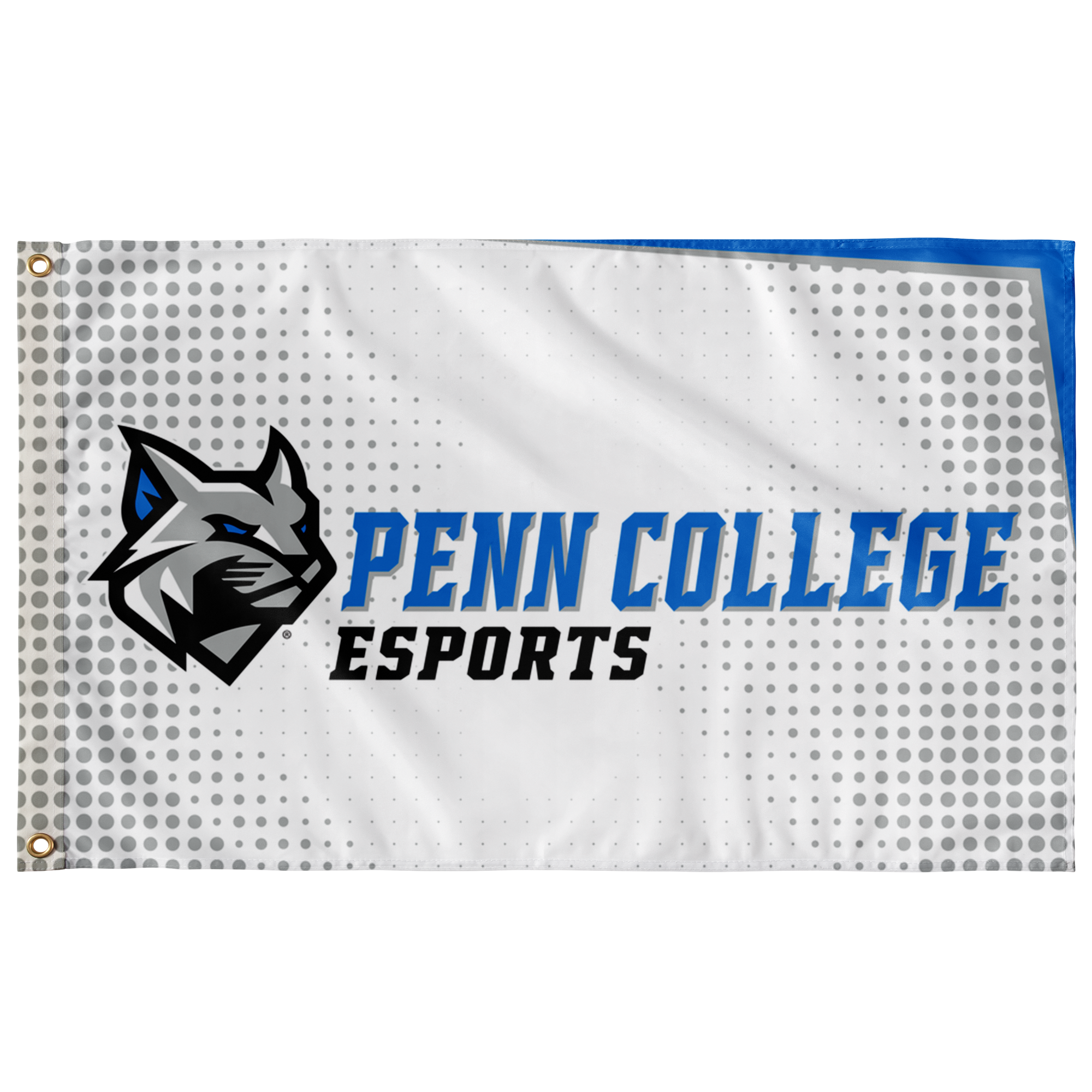 Penn College Esports Flag